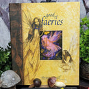 Book - Good Faeries, Bad Faeries