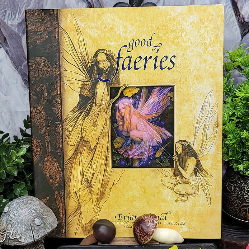 Book - Good Faeries, Bad Faeries