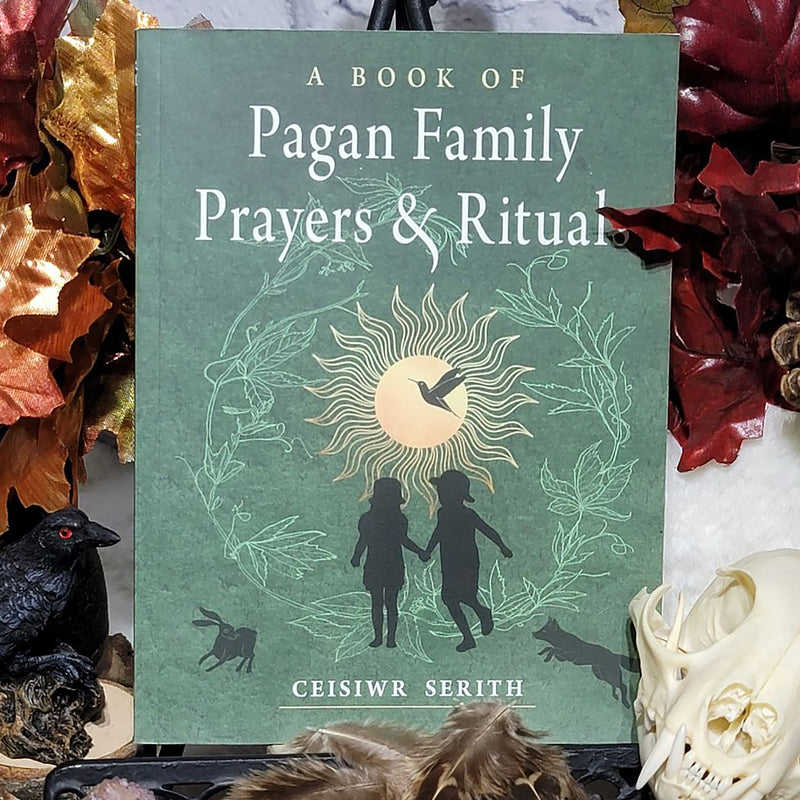 Livre - Un livre de prières et de rituels familiaux païens