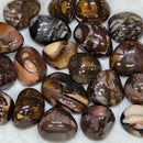 Bamboo Leaf Agate Tumbled Stone