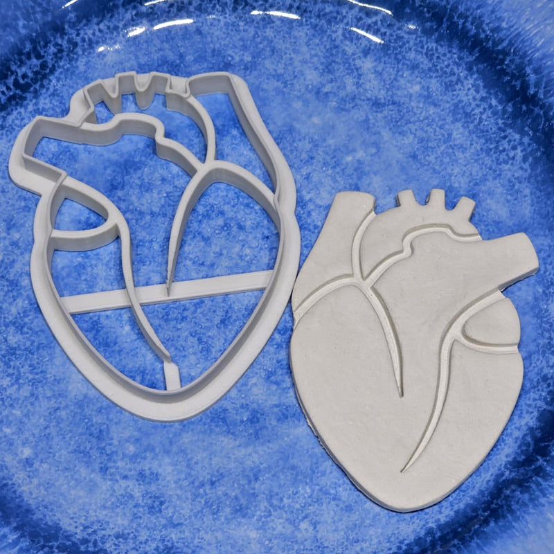 Anatomically Correct Heart Cookie Cutter (1 Piece)