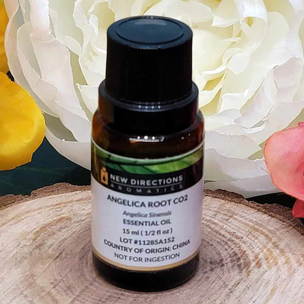 Angelica Root Essential Oil (15ml)