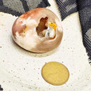 Palm Stone - Flower Agate 1.5"-2.5" (Small)