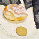 Palm Stone - Flower Agate 1.5"-2.5" (Small)