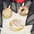 Palm Stone - Flower Agate 1.5"-2.5" (Small)