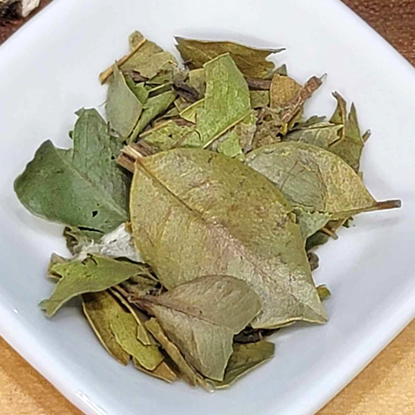 Herb - Myrtle Leaf - 1 oz