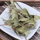 Herbe – Sweet Gale – 1 oz