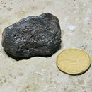 Lodestone (Magnetite) Rough Pieces