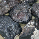 Lodestone (Magnetite) Rough Pieces