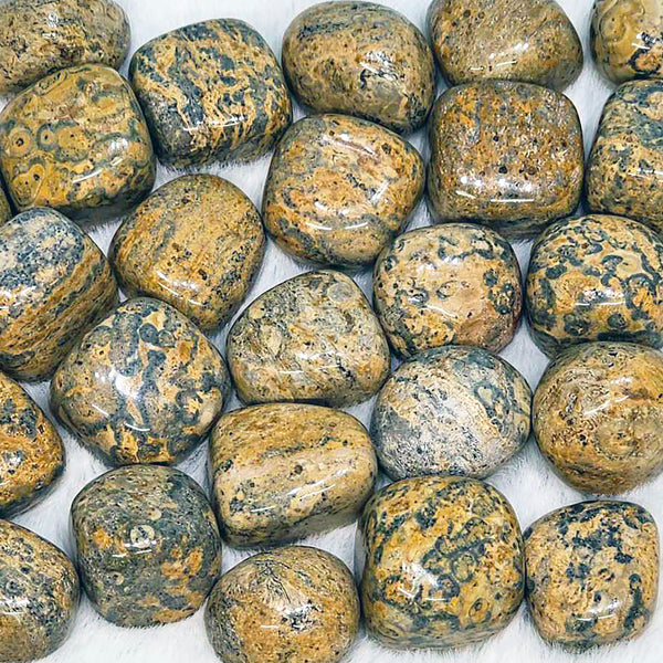 Leopardskin Jasper Tumbled Stone