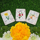 Deck Oracle de la Sorcière Verte