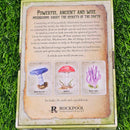 Mushroom Spirit Oracle Deck