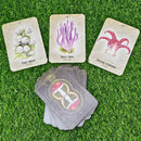 Mushroom Spirit Oracle Deck