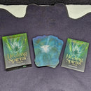 The Healing Spirits Oracle Deck