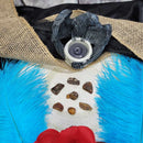 Pépites d'Ambre - Mexique