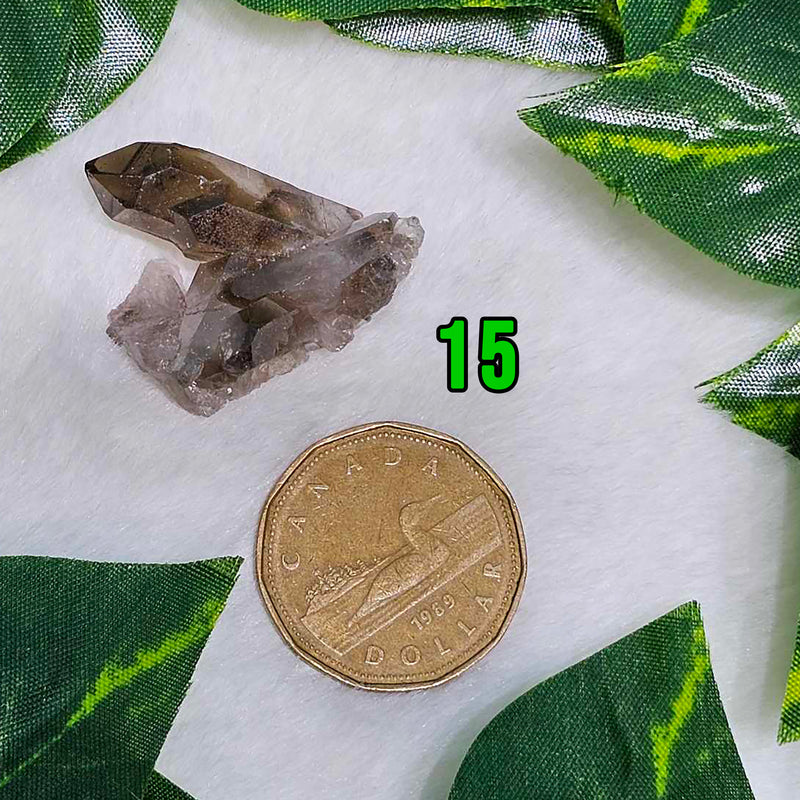 Mini Smokey Quartz Clusters