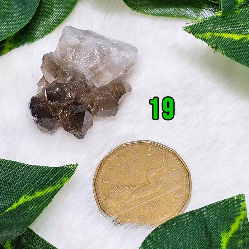 Mini Smokey Quartz Clusters