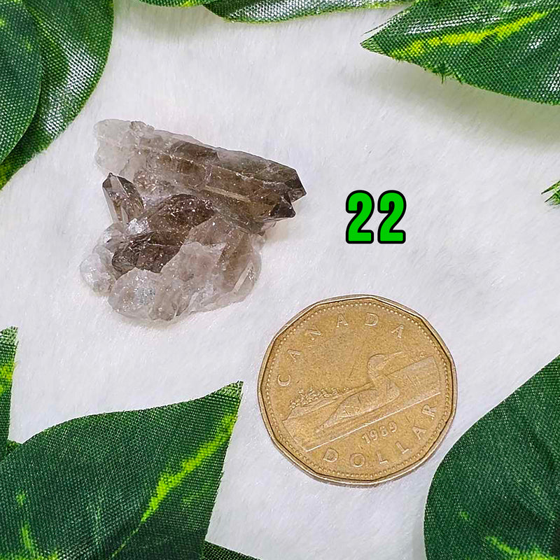 Mini Smokey Quartz Clusters