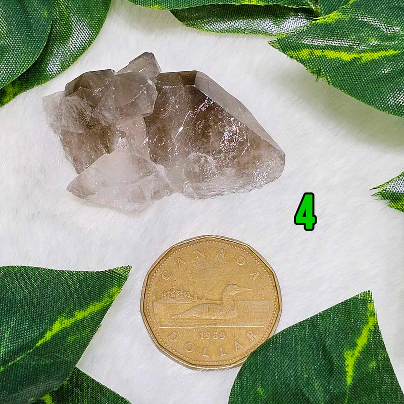 Mini Smokey Quartz Clusters