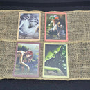 Sacred Rebels Oracle Deck