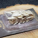 Crâne de dragon à collectionner 2,24"