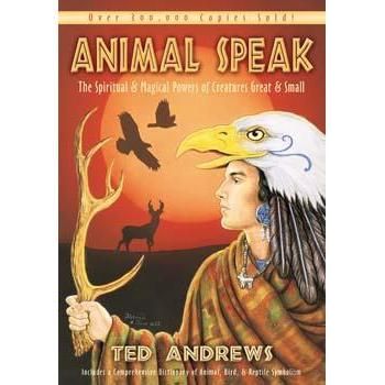 Book - Animal Speak-Tarot/Oracle-Dempsey-The Bat Witch Cavern