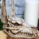 Statue de crâne d'Anubis - (6,75 po de haut)