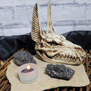 Statue de crâne d'Anubis - (6,75 po de haut)