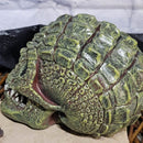 Gatorhead Skull Statue