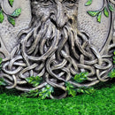 Plaque de Greenman