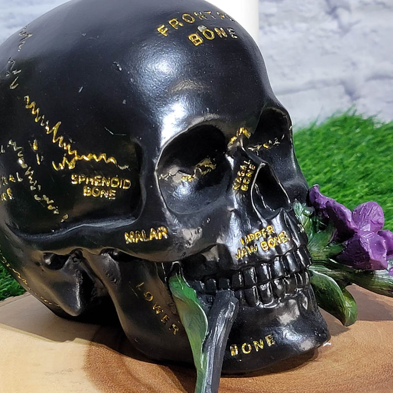 Crâne noir avec fleur violette - (5,25" de haut)