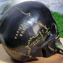 Crâne noir avec fleur violette - (5,25" de haut)