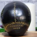 Crâne noir avec fleur violette - (5,25" de haut)