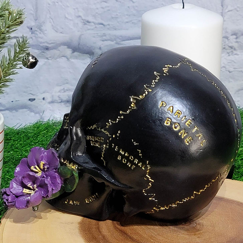 Crâne noir avec fleur violette - (5,25" de haut)
