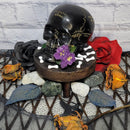 Crâne noir avec fleur violette - (5,25" de haut)