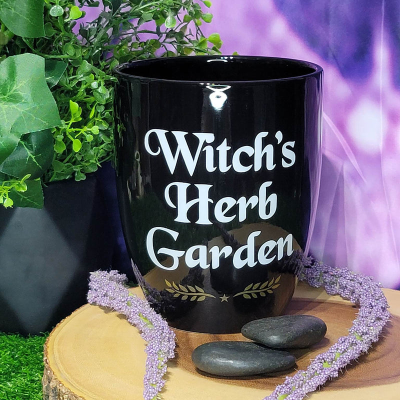 Pot de jardinière de jardin d’herbes de sorcière