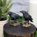 Raven 3" Figurines - Polyresin (Set of 2)
