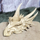 Support T-Lite Crâne de Dragon 6,25" x 4"