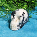 Crâne de Calcite de Tigre 2"