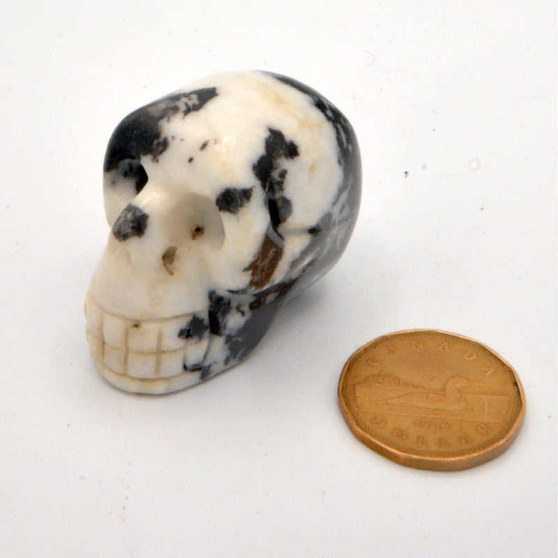 Tiger Calcite Skull 2"