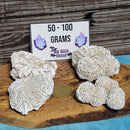 Amas de roses du désert en sélénite