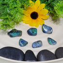 Malachite-Azurite Tumbled Stone