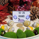 Bumble Bee Jasper Tumbled Stone