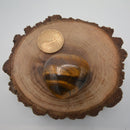 Puffy Heart Gemstone 1.5" - Tiger's Eye-Crystals/Stones-Kheops-The Bat Witch Cavern