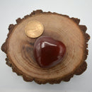 Puffy Heart Gemstone 1.5" - Bi-Colored Carnelian-Crystals/Stones-Kheops-The Bat Witch Cavern