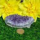 Druze - Amethyst - Grade B