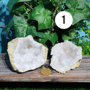 Calcite Geode Pairs 2.75" - 5"  - Variants