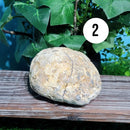 Calcite Geode Pairs 2.75" - 5"  - Variants