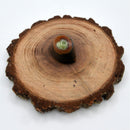 Third Eye Stone - 1.5"-Crystals/Stones-Kheops-The Bat Witch Cavern