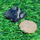 Pyramide - 25-30mm - Jaspe Kambaba